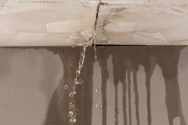 Professional Water Damage Repair technician working in Alvord, TX